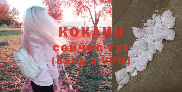 бошки Магас