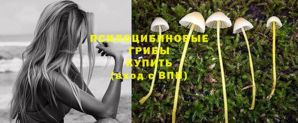 бутират Майский