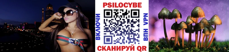 Псилоцибиновые грибы Cubensis Неман